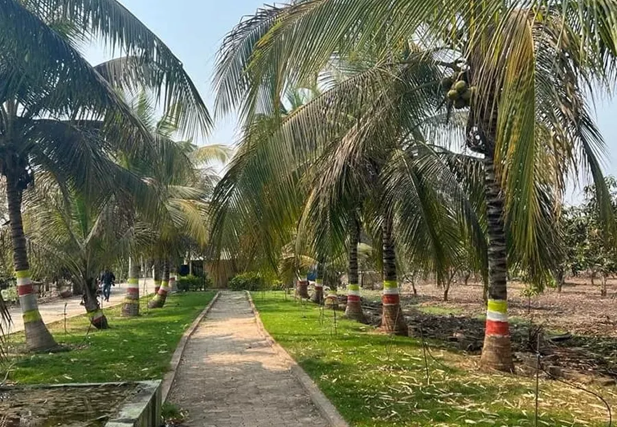 Lakeside garden view